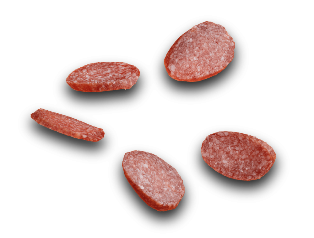 saussicon